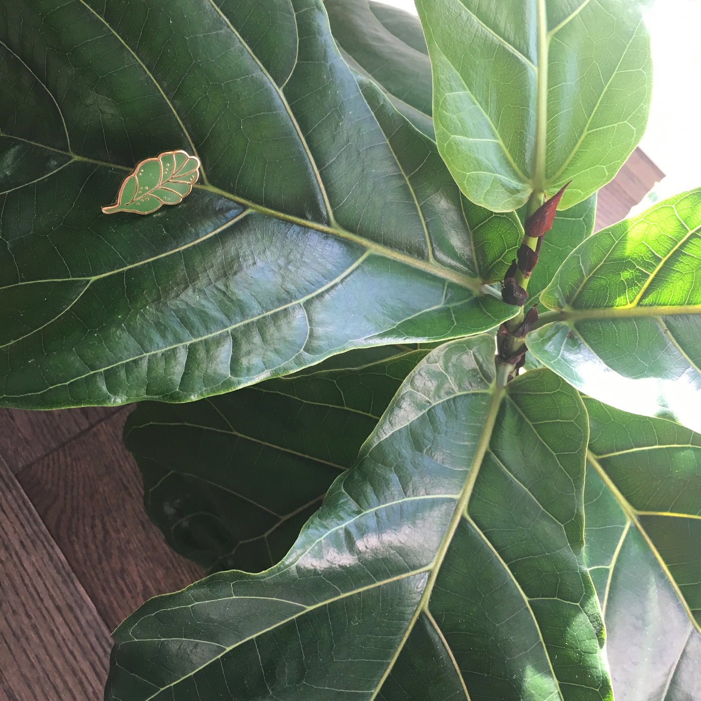 Fiddle Leaf Fig Pin