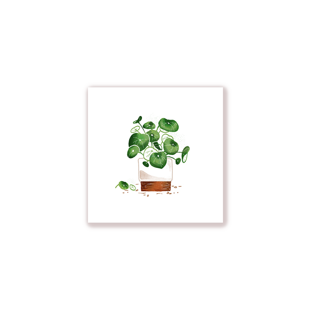 Pilea Print