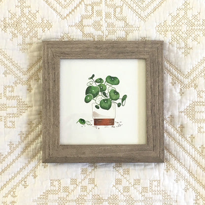 Pilea Print