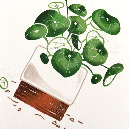 Pilea Print