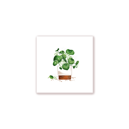 Pilea Print